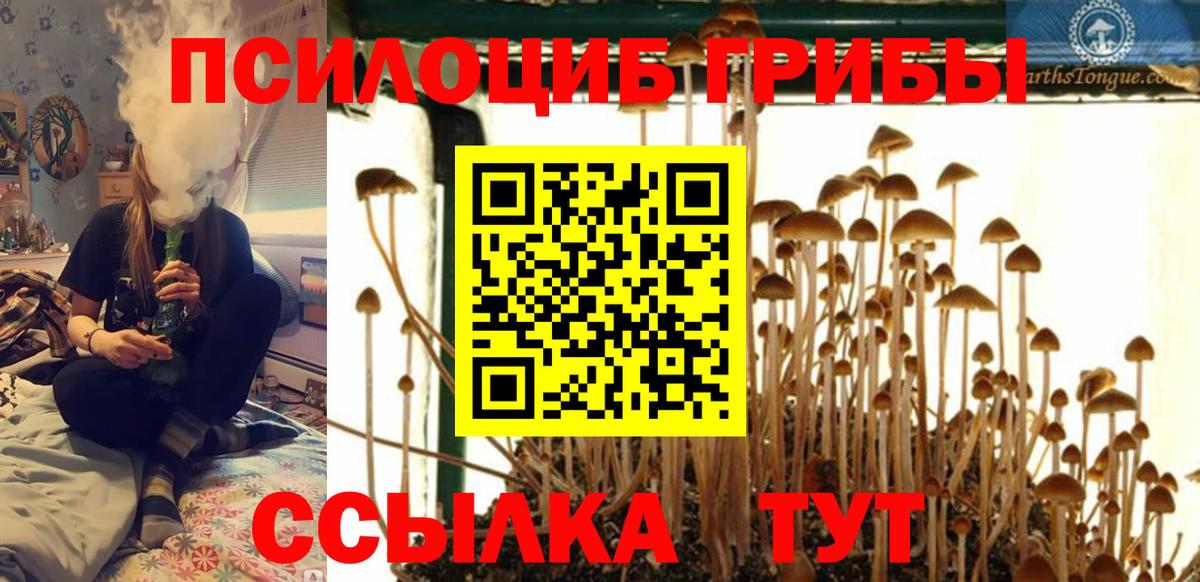 Псилоцибиновые грибы мухоморы  Псилоцибиновые грибы Magic Shrooms  Ангарск  Вход с VPN 