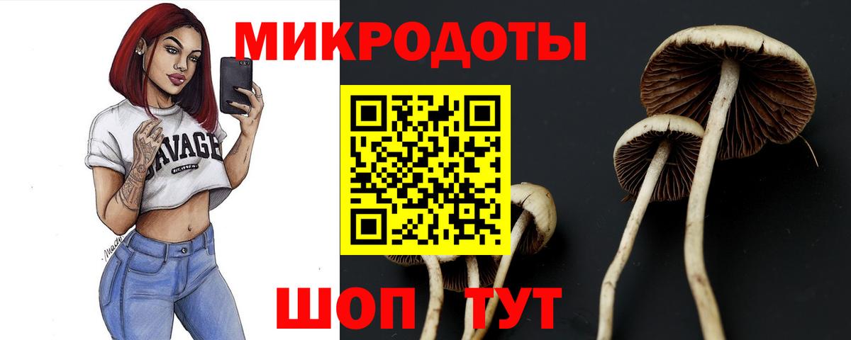 Галлюциногенные грибы прущие грибы Ангарск